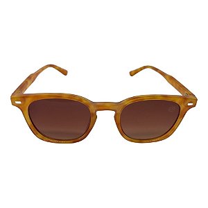 SOLAR FLORIPA TARTARUGA