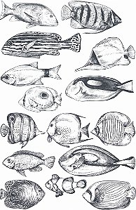 Decalque para Porcelana - Monocromático - Fisches Preto