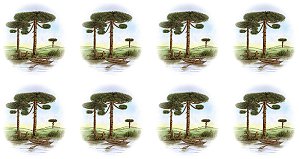 Decalque para Porcelana -Pinheiro Barco 4,5 cm