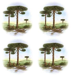 Decalque para Porcelana -Pinheiro Barco 7,5 cm