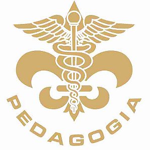 Decalque para Porcelana - Pedagogia