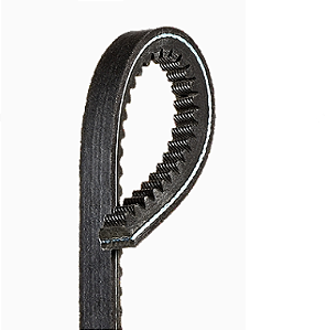 BLL-BX56 - CORREIA CRR-V-BX-56