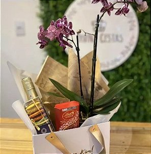 Presente Dia das Mães com Orquídea e Espumante – Box Premium Elegante