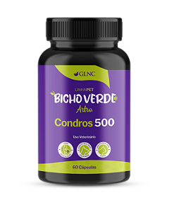 Condros 500 - 60 Cápsulas | Linha Pet Bicho Verde