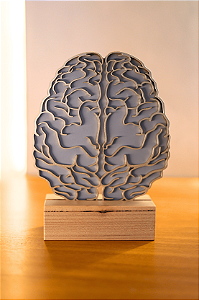 Troféu Cerne da Potência