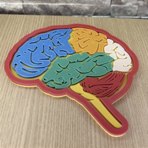 Brinquedo cérebro desmontável