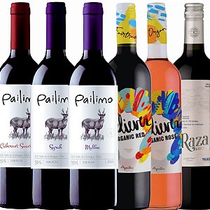 Combo Vinhos da América do Sul
