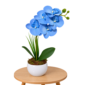 Arranjo Orquidea Azul Efeito 3D Realista Com Vaso Musgo Natural Pronto
