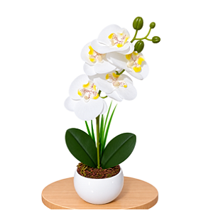 Arranjo Orquidea Branca Efeito 3D Realista Com Vaso Musgo Natural Pronto