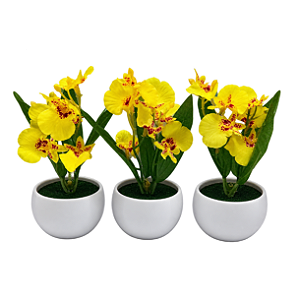 Trio Vasinho Com Orquidea Chuva De Ouro Redondo Mini