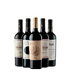 Kit Vinhos Argentinos