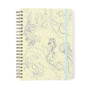 Caderno Espiral Origens Pautado 20x28 Áqua Traço 10 Matérias 160 fls