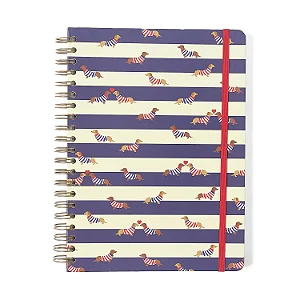 Caderno Espiral Praia Pautado 20x28 Cachorros 10 Matérias 160 fls