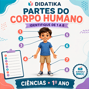 Partes do Corpo Humano
