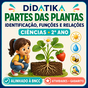 PARTES DAS PLANTAS – IDENTIFICAÇÃO, FUNÇÕES E RELAÇÕES | 2º ANO