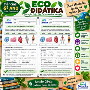 PACOTE ECO DIDÁTIKA – 2 ATIVIDADES IGUAIS POR FOLHA | 6º ANO DO ENSINO FUNDAMENTAL