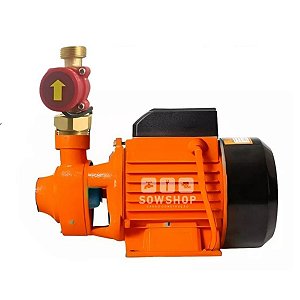 Pressurizador Bomba Periferica 1/2cv Intech Com Fluxostato 110V