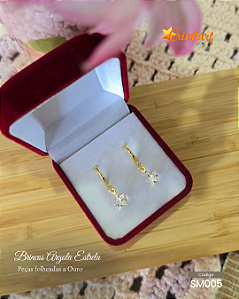 Brincos Argolas Estrela