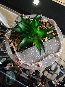 Colar Choker Delicado