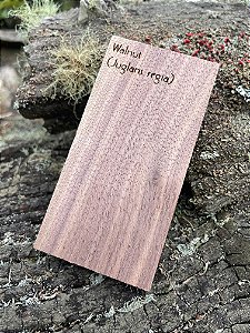 AMOSTRA DE MADEIRA PARA XILOTECA - Walnut / Nogueira (Juglans regia)