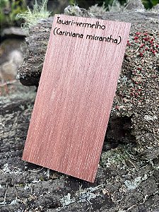 AMOSTRA DE MADEIRA PARA XILOTECA - Tauarí-vermelho (Cariniana micrantha)