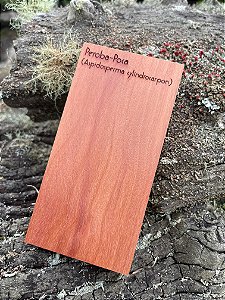 AMOSTRA DE MADEIRA PARA XILOTECA - Peroba-poca (Aspidosperma cylindrocarpon)
