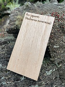 AMOSTRA DE MADEIRA PARA XILOTECA - Kiri-japonês (Paulownia tomentosa)