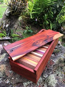 Xiloteca Premium de Madeiras Brasileiras — Kit com 30 Espécies Raras e Comerciais com Caixa