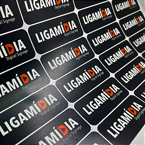 300 adesivos de vinil fosco com impressão colorida e dados variáveis 7x3cm