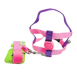 Conjunto Peitoral Neon Ajustável Com Guia Para Cachorro
