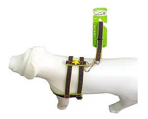 Conjunto Peitoral Jeans Regulável Com Guia Para Cachorro