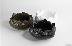 Pote Flor da Lua Decorativo