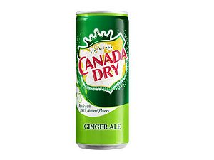 Refrigerante Canada Dry Ginger Ale Gengibre - Importado