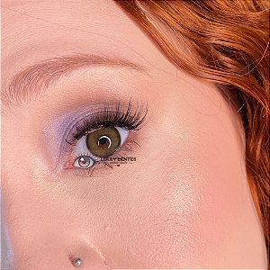 CANNA ROZE OLIVE GREEN