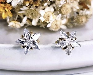 BF 0046 Brinco Estrela Zircônia (8mm c/5 Garras) MD Folheados