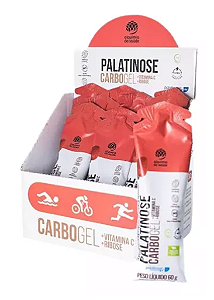 Palatinose Gel - Sabor Morango - Alquimia da Saúde