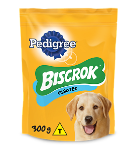 BISCROK JUNIOR 300GR