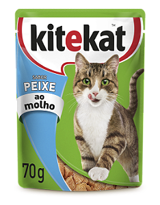 KITEKAT SACHE ADULTO PEIXE