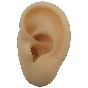 Orelha Para Treino de Borracha