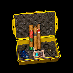 Kit Iniciante Premium I