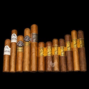 Kit Bucanero's X