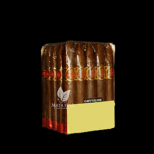 FLOR DE LA VEGA CAPITOLIO MAÇO C/25