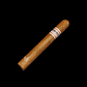 BUENA VISTA DFK TORO