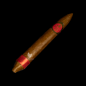 Flor de La Vega Salomones