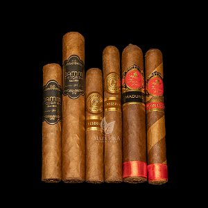Sampler Dia dos Pais I
