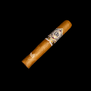CAO Gold Robusto