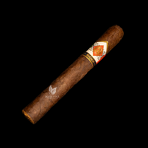 CAO Zócalo Toro