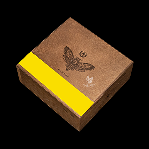 Caixa Alec Bradley Magic Toast Toro