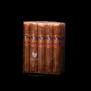 Gentili Robusto Maço C/20