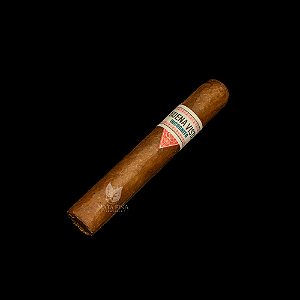 Buena Vista Incognito Robusto